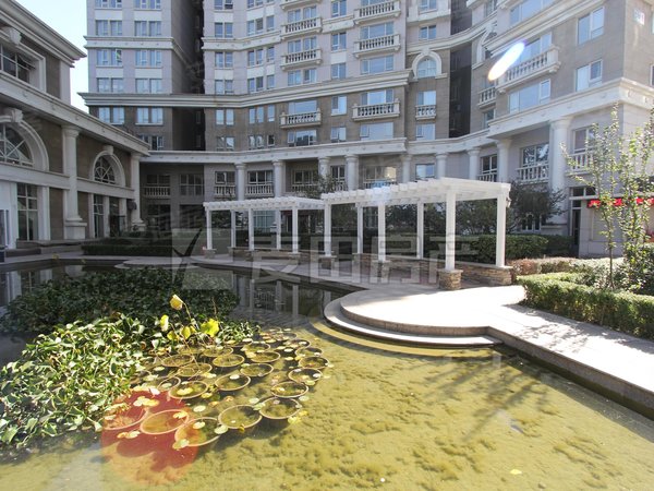 诚意可聊 海润国际公寓 798 将台路 随时看房,朝阳租房-北京58安居客