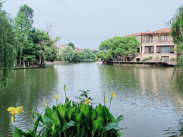 杭州西溪湿地别墅房价图片