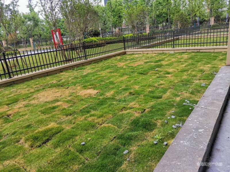 御都公园大地3室2厅2卫126㎡南北67万