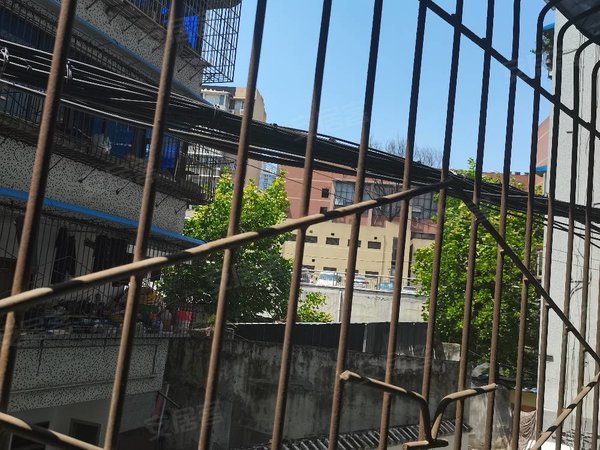 重庆沙坪坝小龙坎沙坪坝文化村小区直租无中介,房间干净整洁宽敞明亮