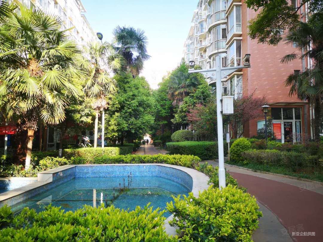 123平  国际棕榈泉花园高新区3房 南北115万精装