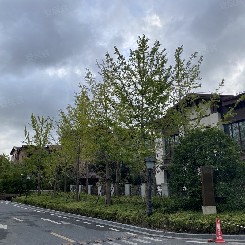 【中信泰富朱家角新城滨湖郡(别墅), 中信泰富朱家角新城滨湖郡(别墅)