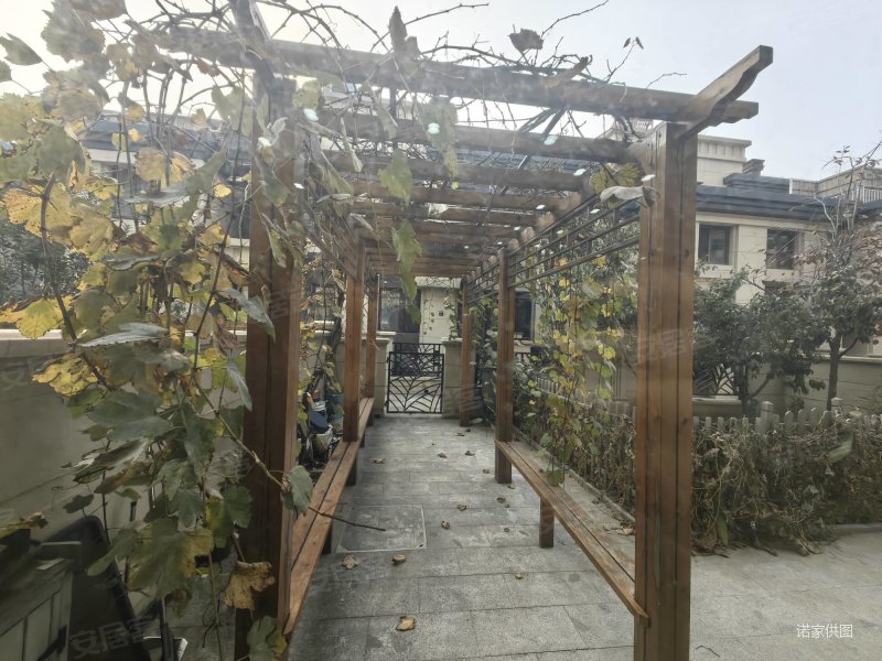 社会山南苑(别墅) 朝南 小区绿化高 满五 精装好房