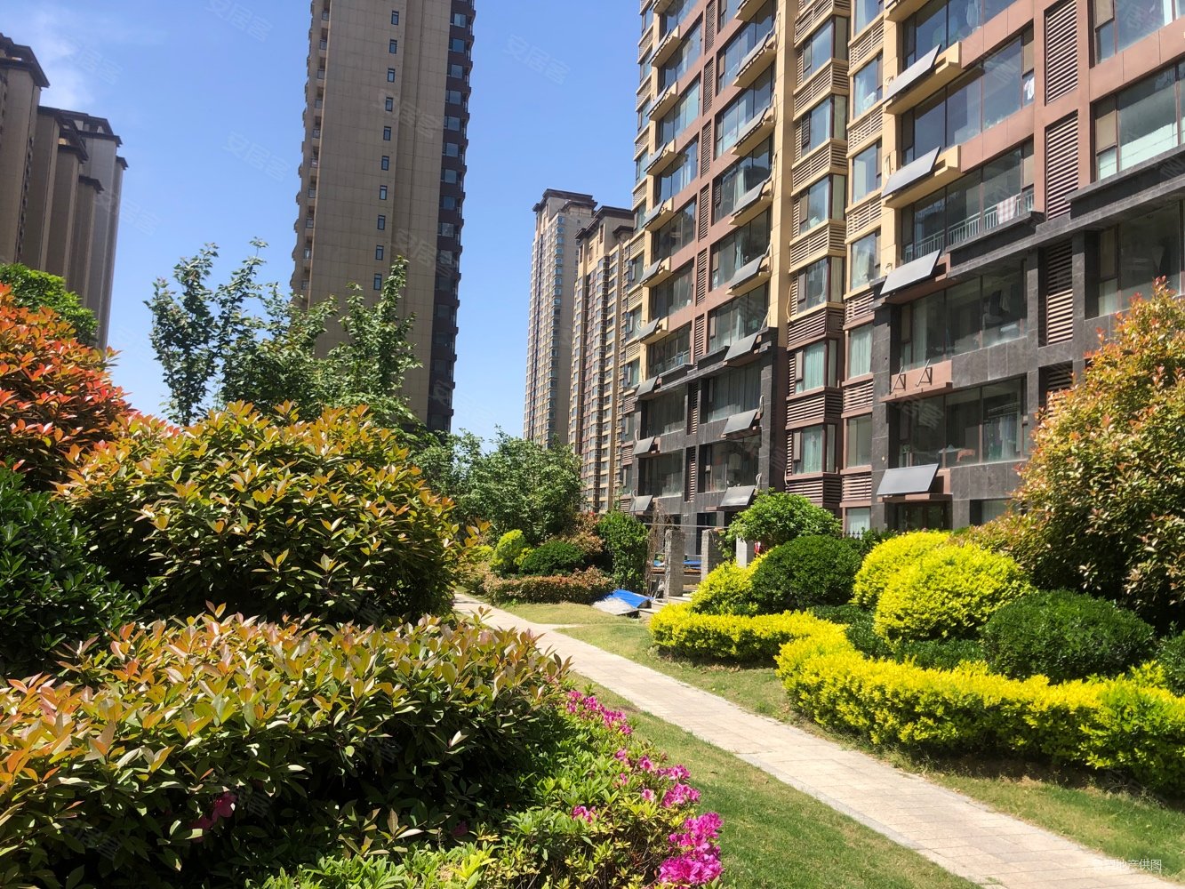 金泰华府南府金小九中证过二精装三室好楼层临金雀新城