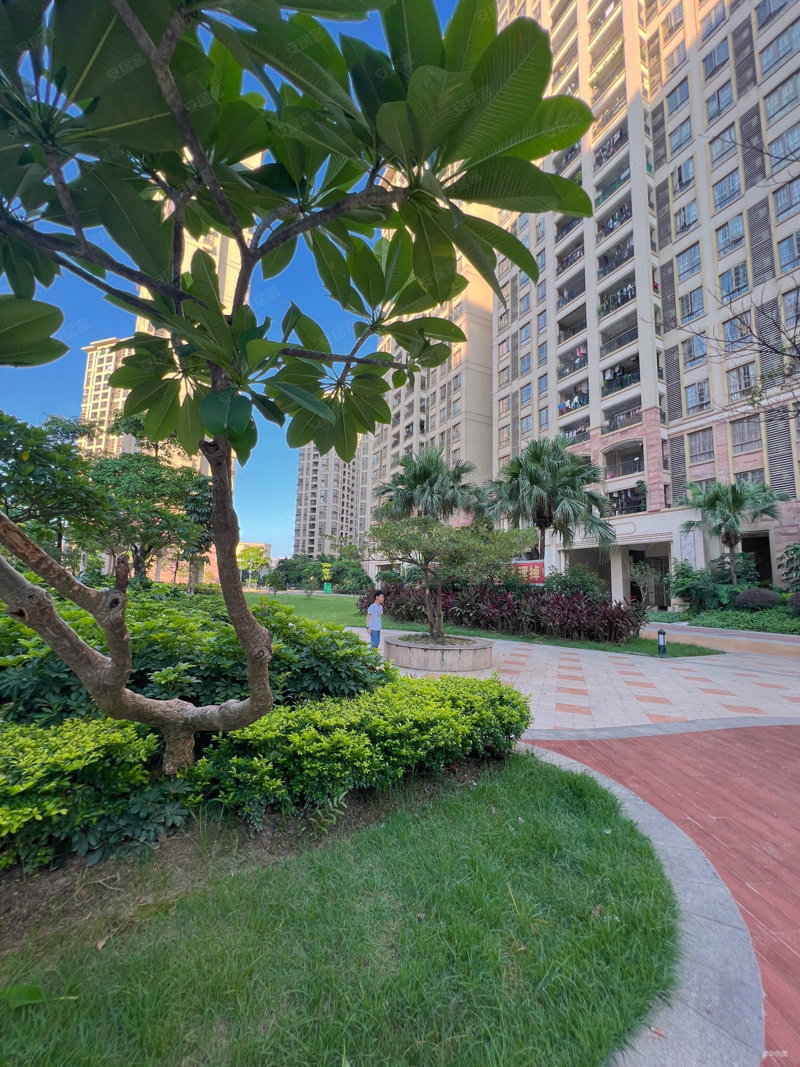 中山房产网>中山二手房>东凤二手房>凤翔大道二手房>佛奥阳光花园东区