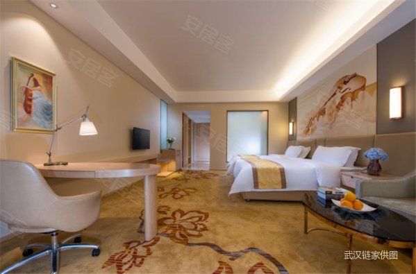 国企酒店维也纳 统一出租12年 前三年每平65元