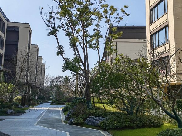 苏州吴江太湖新城建发悦江南吴江中学对面 建发带大院子2房2800元带