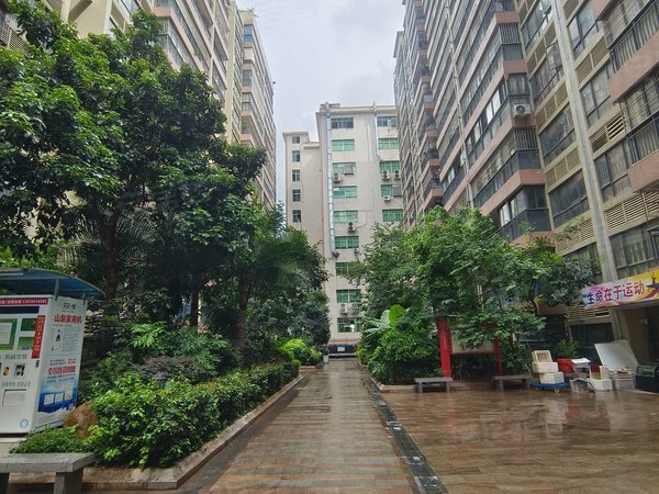 深圳宝安西乡雅居苑底价出租朝东南精装修120平3房两厅采光好拎包随时