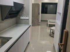 临沧临翔凤翔出租佤山凤城 1室1厅1卫 电梯房 精装修 46平出租房源真实图片