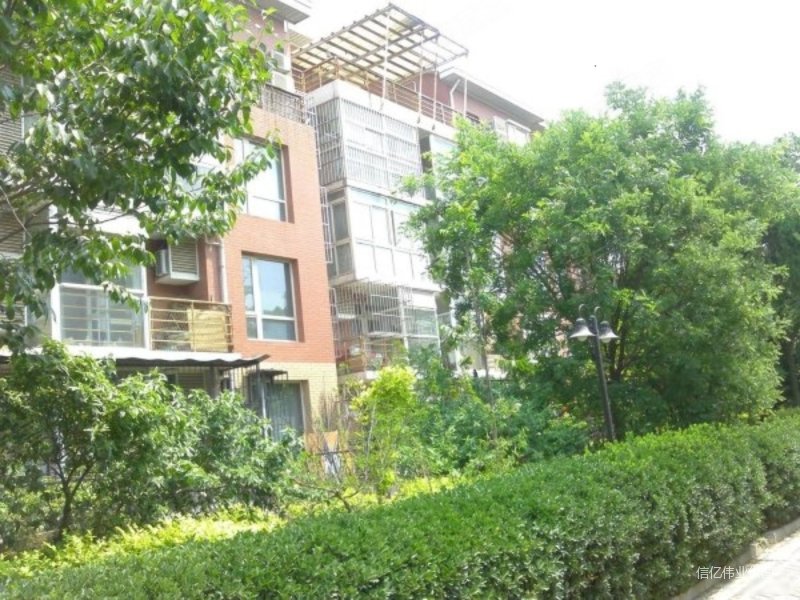 西红门 福星花园 洋房复式南北挑空客厅落地窗 买一层多给一层