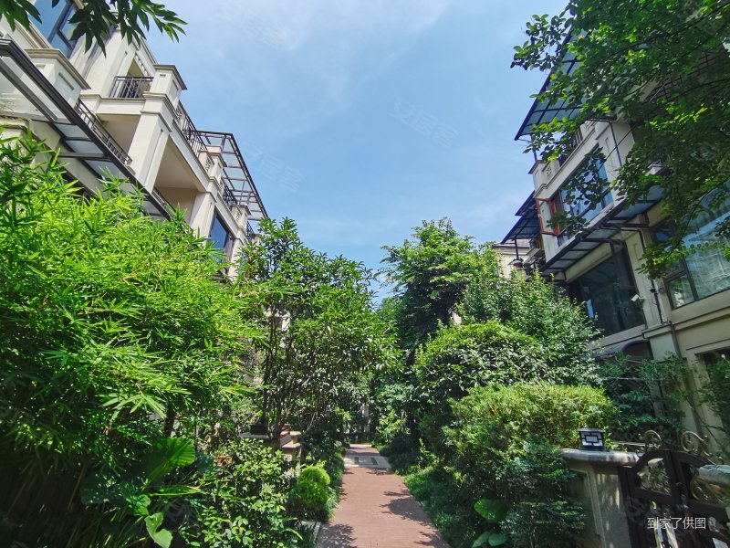 复地花屿城(c区)4室2厅2卫142㎡南北258万