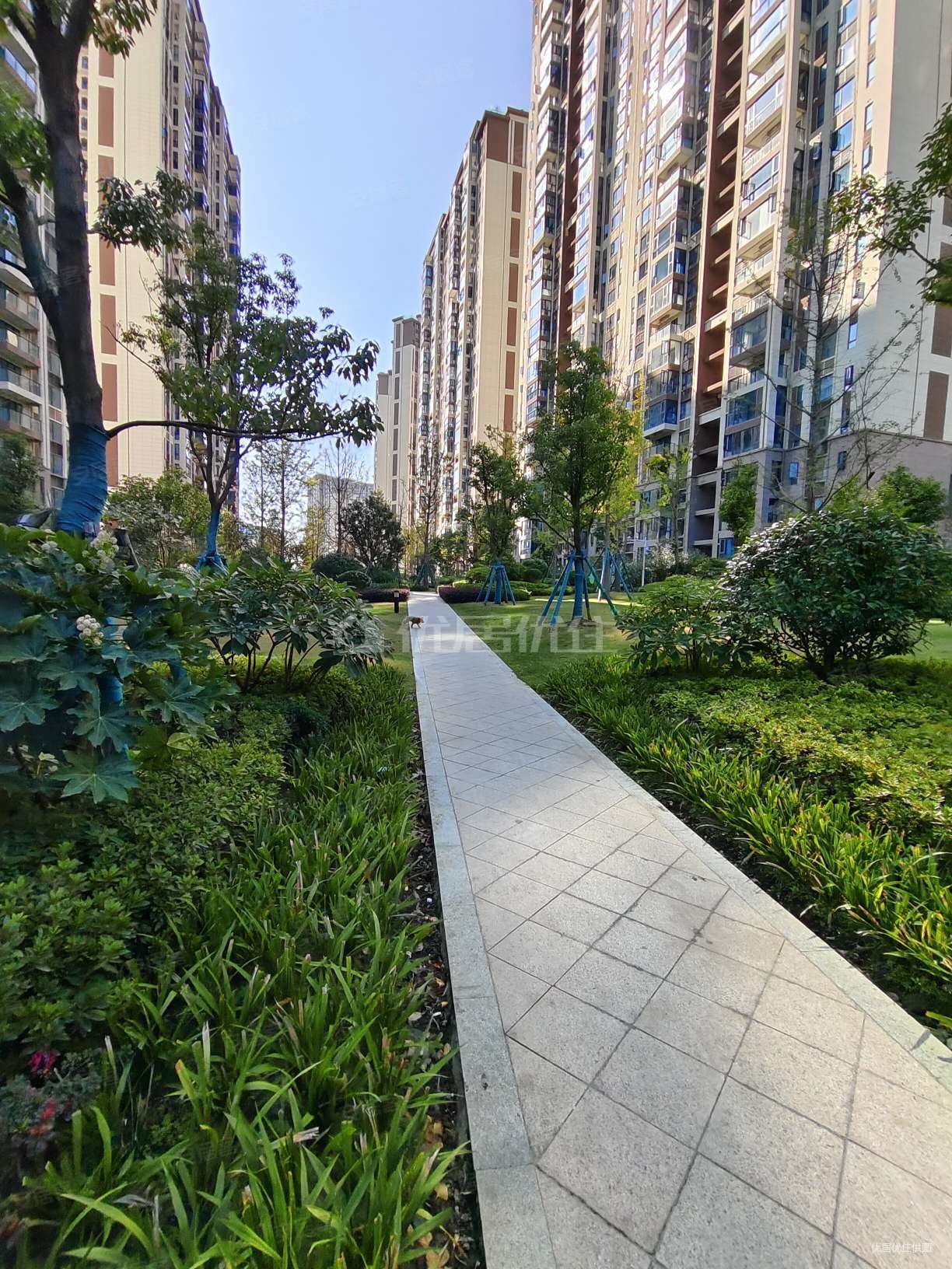 碧桂园印象花溪