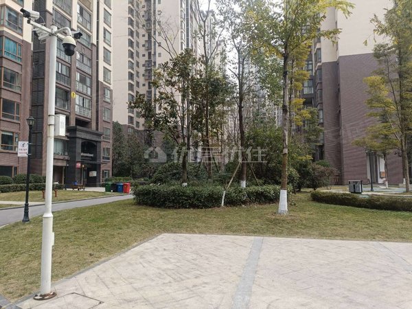 巴中巴州回风凯莱国际社区实图 回风费尔顿酒店旁  精装三居室 诚意