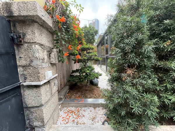 深圳南山蛇口碧涛苑别墅碧涛别墅精装6房3卫出租,实用面积达600平出租