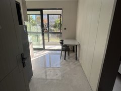 德清德清市区正翔广场私人一室一厅的户型!豪华装修拎包入住出租房源真实图片