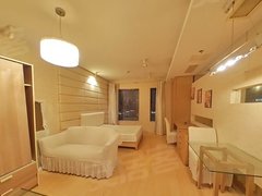 南京秦淮夫子庙观城国际 1室1厅1卫  电梯房 精装修50平米出租房源真实图片