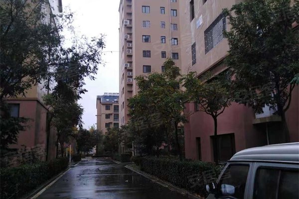 青岛小区 即墨小区 即墨经开区小区 东城名郡 东城名郡怎么样