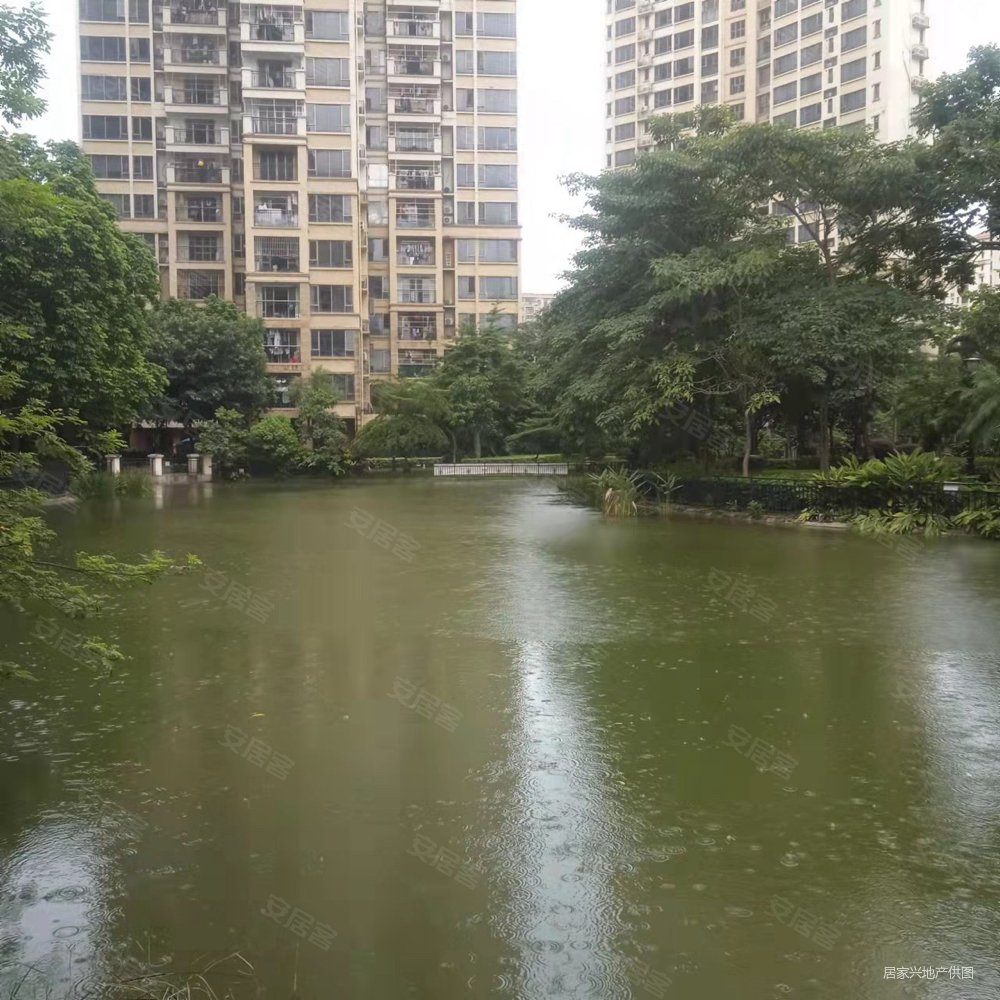 翠湖豪苑 满五 双卫 楼层好 医疗配套成熟 产权清晰