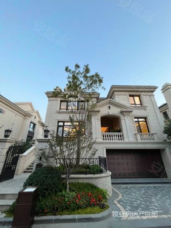 麓山国际带私人车库(独门独院丨前后双花园)大牌家具家电全带