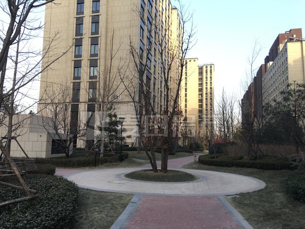 乐陵亦庄金茂悦(南区)亦庄金茂悦(南区) 3室2厅2卫 133平 电梯房 精