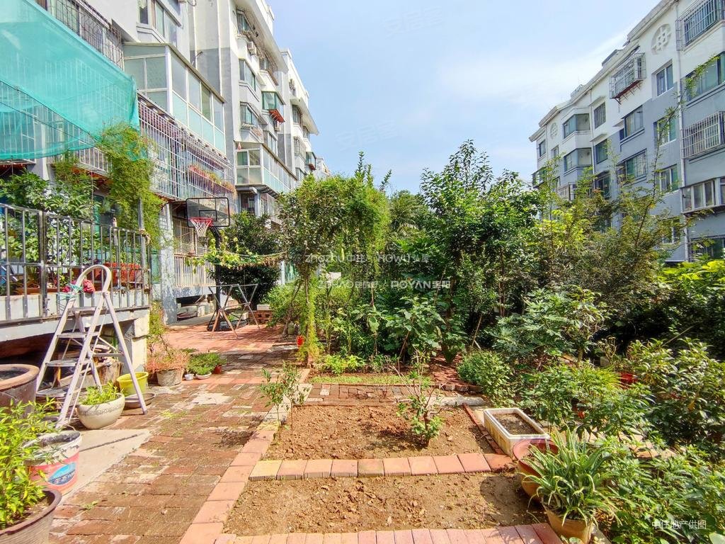 世纪中华城带40平院子总高6层的小洋房生活成本低有证