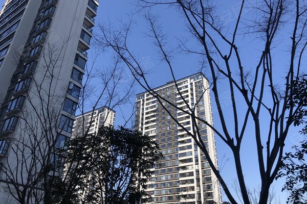 姚江湾优点,不足,姚江湾怎么样,姚江湾周边房产中介经纪人评价-宁波