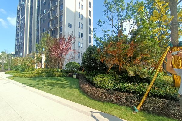 华地学府公园,阜阳北路,近五湖大道-合肥华地学府公园二手房,租房