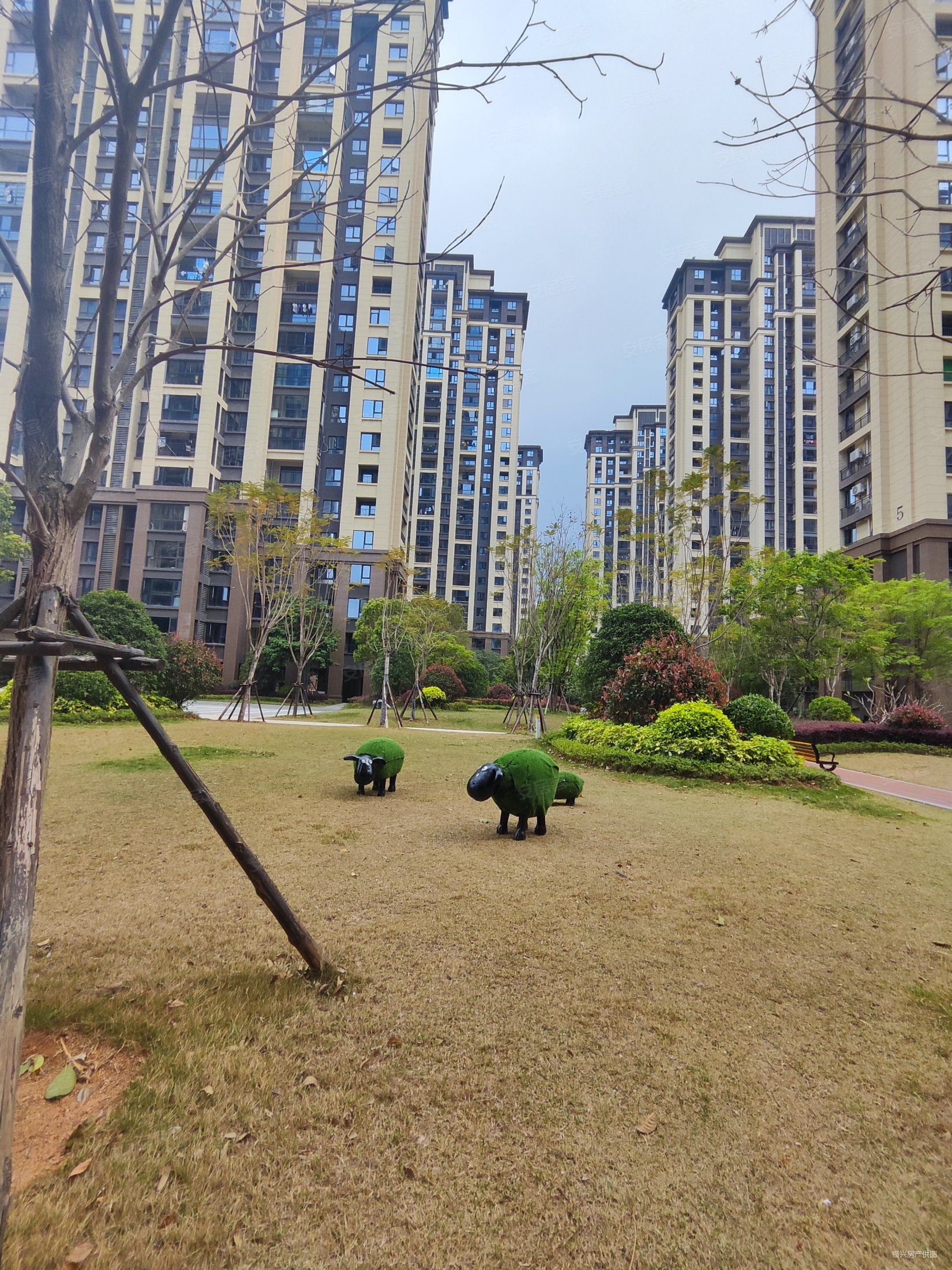 大唐阳光城翡丽公馆