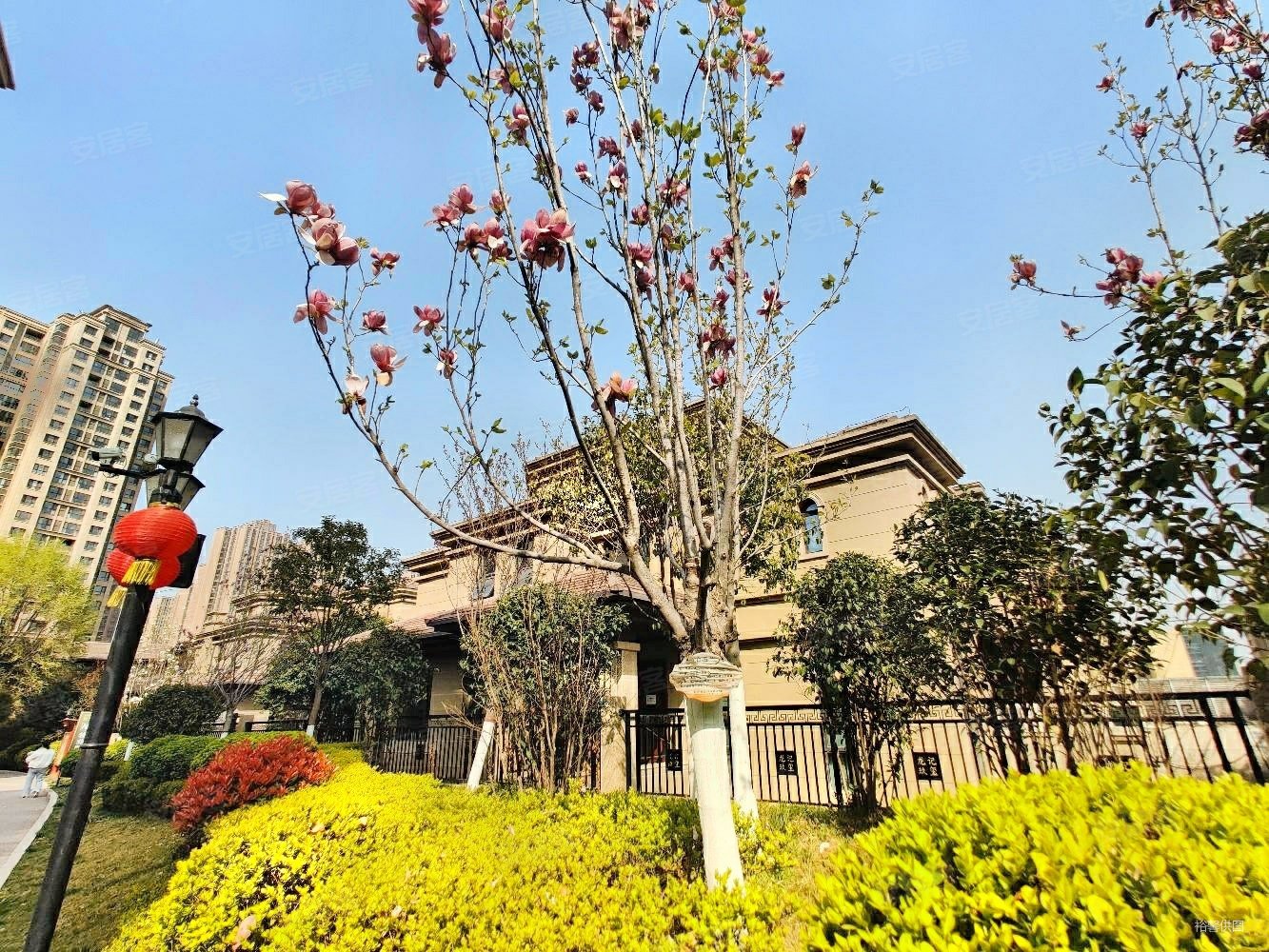 龙记玖玺3室1厅2卫110.49㎡南北142万