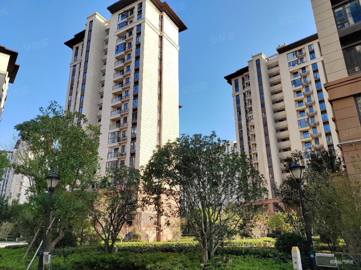 大华公园华府老证次新房双卫格局南北通透产权清晰