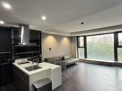 上海黄浦打浦桥华丽家族汇景天地(公寓住宅) 1室1厅1卫出租房源真实图片