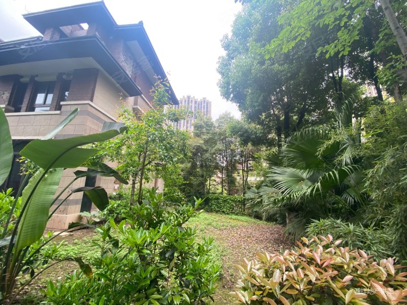 新上急售照母山协信联排端头别墅大花园内圈位置