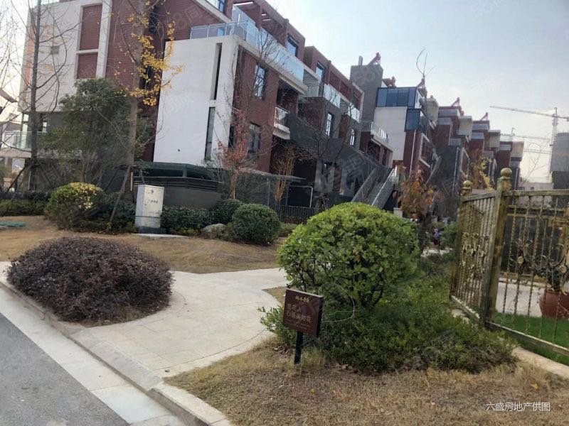 枫林学府 宝龙官邸泉山森林海,枫林学府(别墅)二手房,360万,4室2厅,3