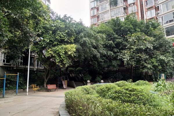 重庆小区 大渡口小区 九宫庙小区 阳明佳城 0人觉得很赞2020