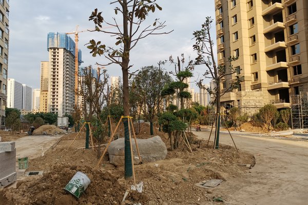永泰龙泽园,长江路-菏泽永泰龙泽园二手房,租房-菏泽安居客