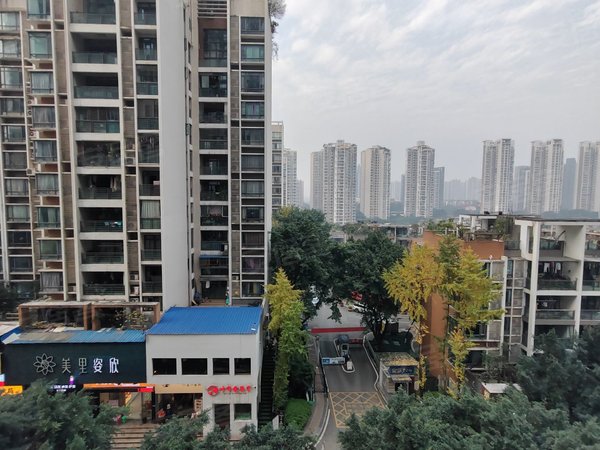 【多图】鲁能星城五街区,龙头寺租房,龙头寺 鲁能星城五街区 看房方便