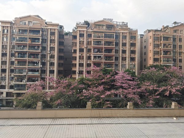 广州天河珠江新城东珠光新城御景(二期)珠光御景二期,低楼层,业主急租