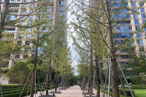 嘉兴小区 桐乡小区 桐乡市区小区 巨成望湖湾