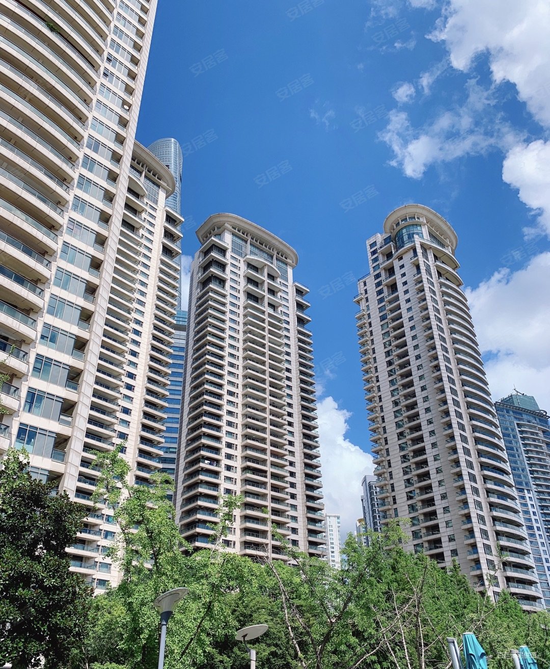 tomson riviera丨它代表着这个城市的风景,诚意售,汤臣一品二手房