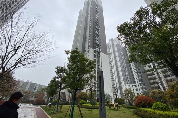 当代未来城(少荃湖名苑)