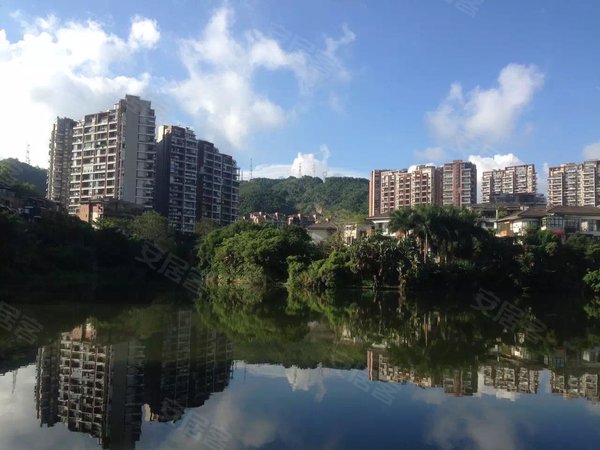 深圳龙华梅林关口星河丹堤星河丹堤b区一楼复式洋房,前后花园120平