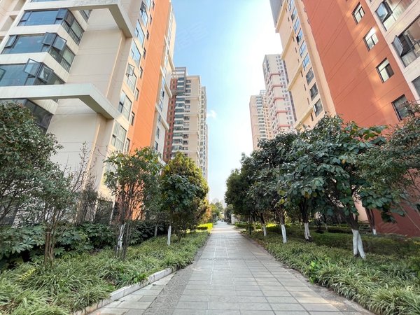 昆明五华高新区鑫金花园(科医路)西城时代旁丶精装一室一厅丶南北通透