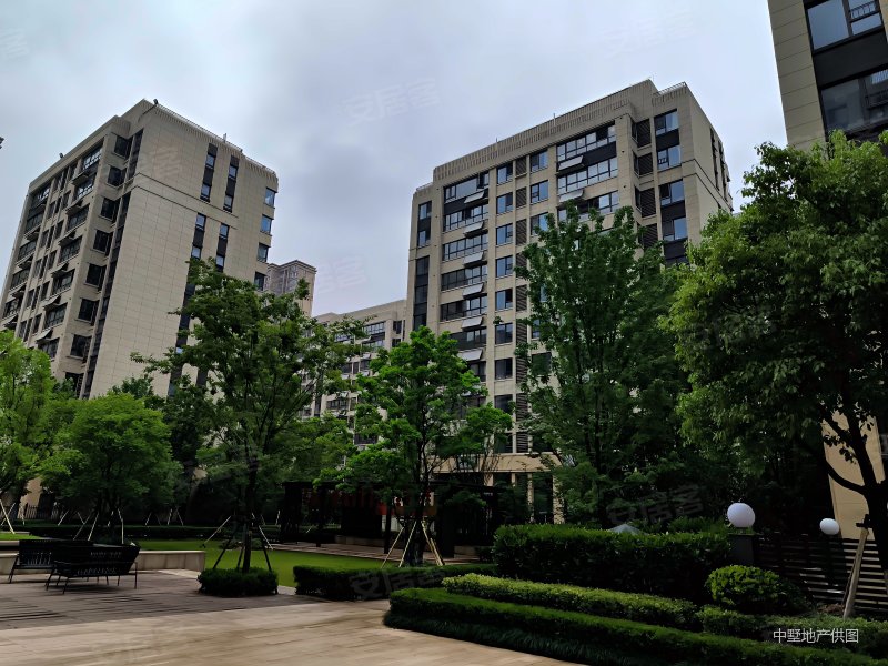 省府板块金茂悦小高层满二精装修大四房