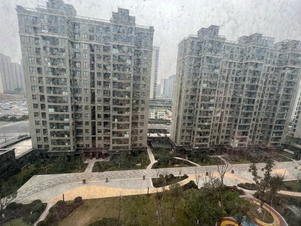 杭州滨江四桥南闻涛诚苑闻涛城苑小区钱塘江边樱花跑道,近恒生大华