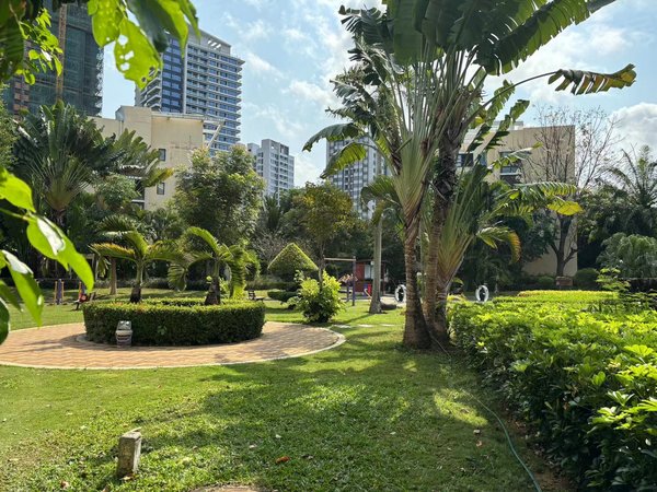 【多图】金元椰景蓝岸,凤凰路南段租房,臻选椰景蓝岸!