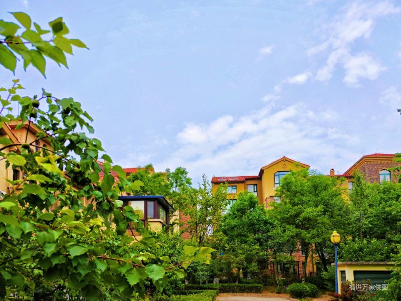 临河下叠,有个院,海阔水岸花墅,223米309w