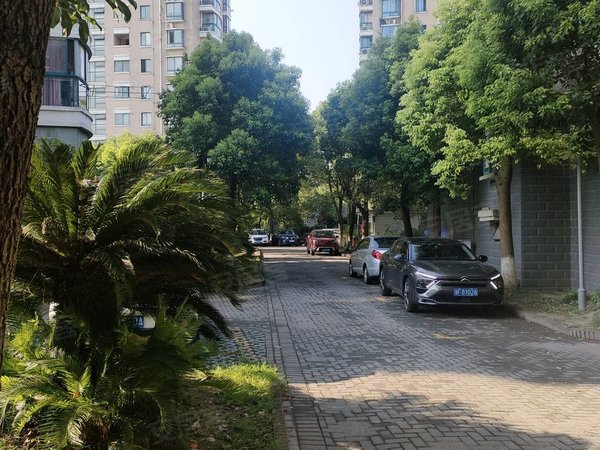 嘉兴秀洲新城街道金地艺境金地艺境精装修3室2厅一卫,拎包入住出租