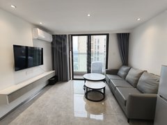 东莞黄江天虹融创公园首府(商住楼) 2室2厅1卫  电梯房 精装修出租房源真实图片