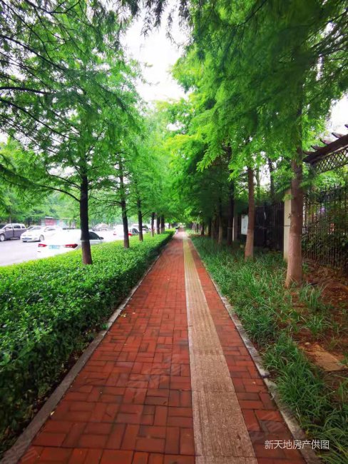 鼎峰英伦花园5室2厅4卫380㎡南北1180万