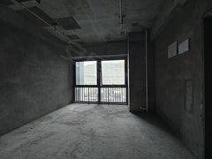 重庆渝北中央公园龙湖天际 1室1厅1卫 电梯房 39平出租房源真实图片